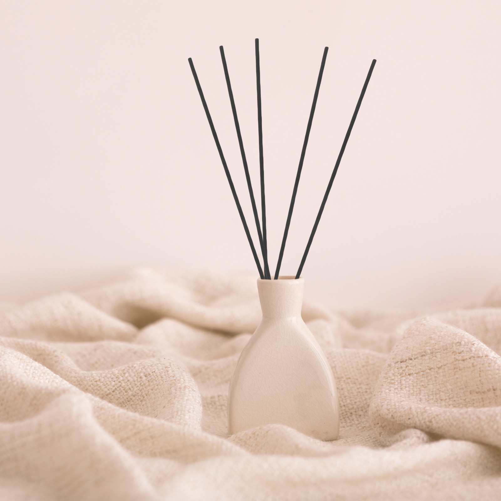 Home Fragrance Aroma - 100 Stuks Vezel Riet Diffuser Sticks